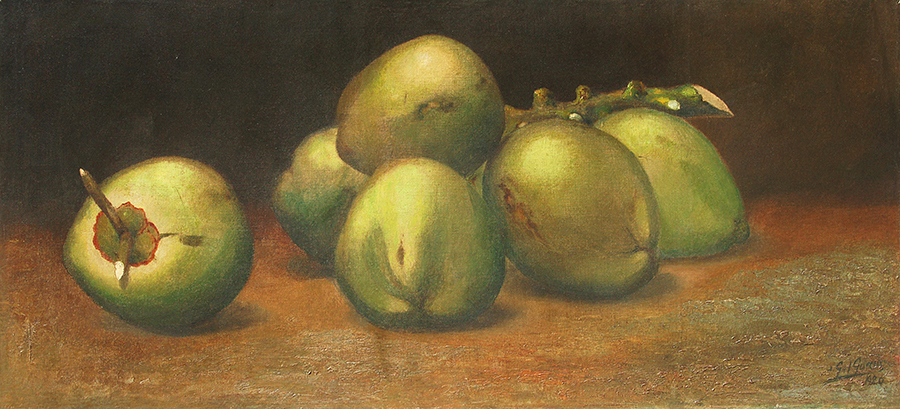 Coconuts on Bough<br>
<i>(Racimo de Cocos)</i>
 by Juan Gil Garca