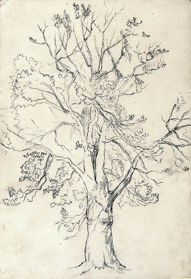 Tree<br>
<i>(Arbol)</i> by Esteban Chartrand
