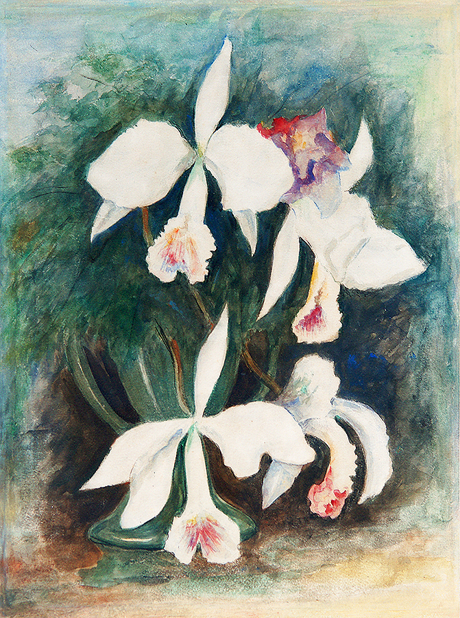 Orchids <br><i>(Orqudeas)</i> by Eduardo Abela