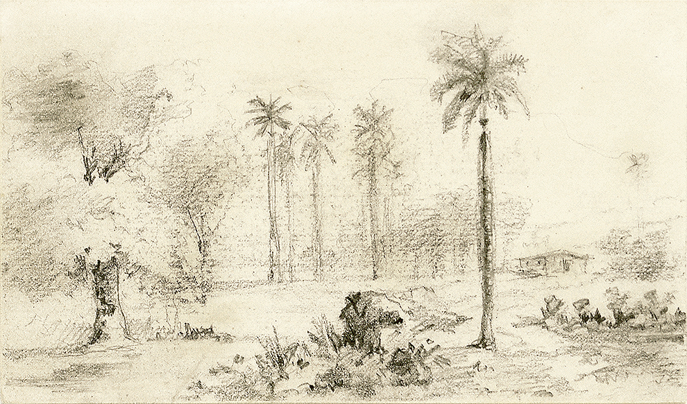 Landscape with Royal Palms<br>
<i>(Paisaje con Palmas Reales)</i> by Esteban Chartrand