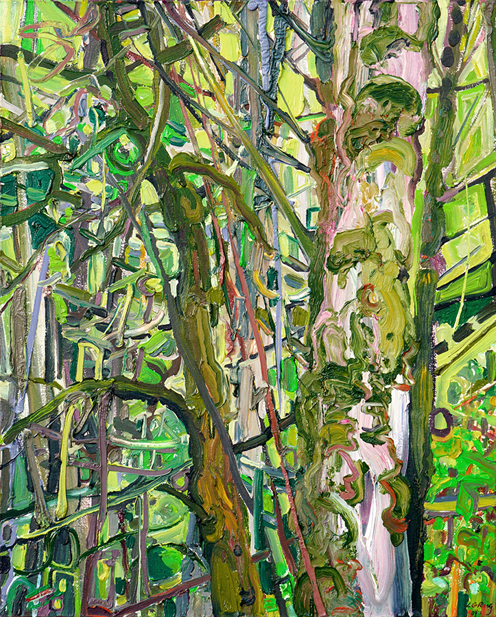 Extended Fauve Forest II <br>
<i>(Bosque Fauve Extendido II)</i> by Lilian Garcia-Roig