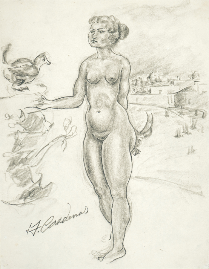 Female Nude <br>
<i>(Desnudo de Mujer)</i>      by Agustn Crdenas drawings